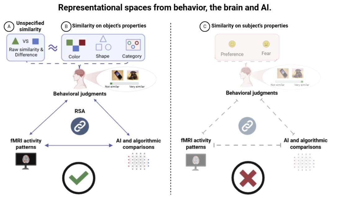 alejandro2529's tweet image. Happy to share my first-ever pre-print !!!! 🚨 on the representational geometry across similarity properties using behavioral judgments, fMRI, and AI/CNNs models 🚨 !! 1/n🧵 preprint: osf.io/preprints/psya…
