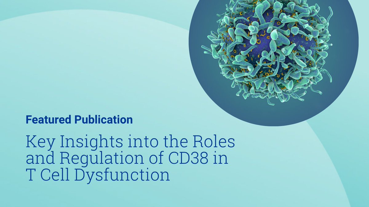 MGBResearchNews's tweet image. In a new study, researchers from @MGHCancerCenter and colleagues found key insights into the roles and regulation of CD38 in T cell dysfunction. The study was published in @CellRepMed.
Read more: massgeneralbrigham.org/en/about/newsr… pubmed.ncbi.nlm.nih.gov/40578364/
@oryamush