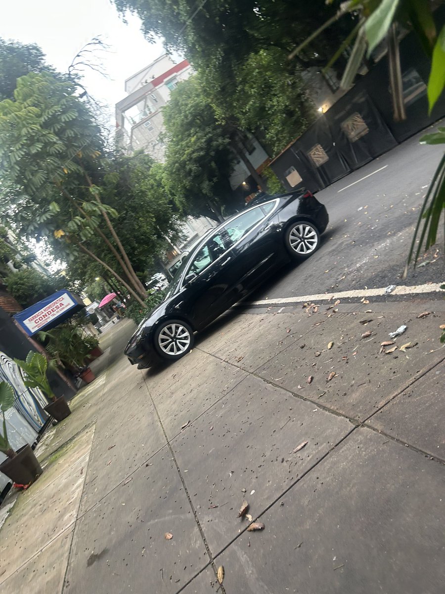 Col. Guadalupe Inn tweet media