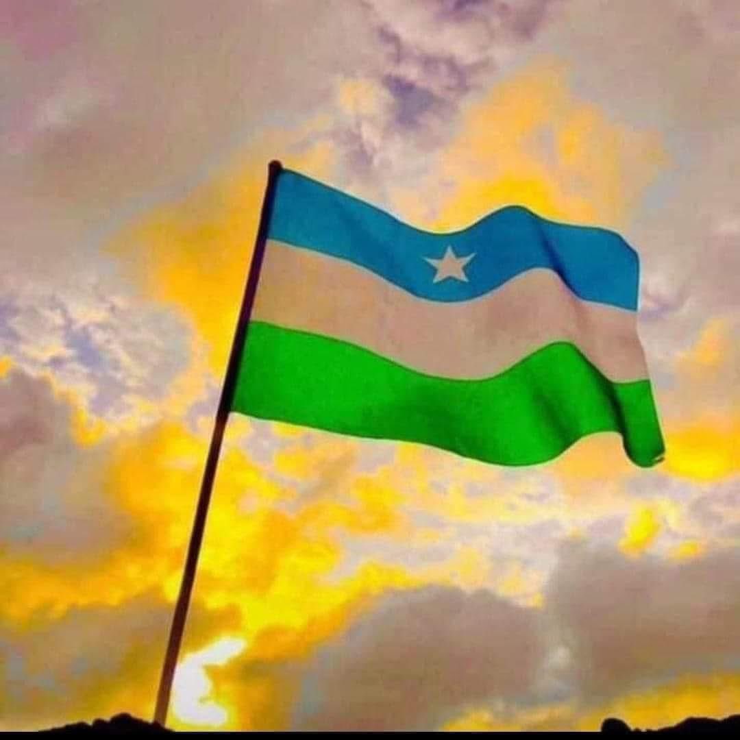 DekBinanle's tweet photo. 🚨#PUNTLAND 
#GUDOON IYO #GO'AANKA  #SALDANA GUUD EE GOBOLADA  #SANAAG &amp; #HAYLAAN EE PUNTLAND. https://t.co/Bdrja68aFv