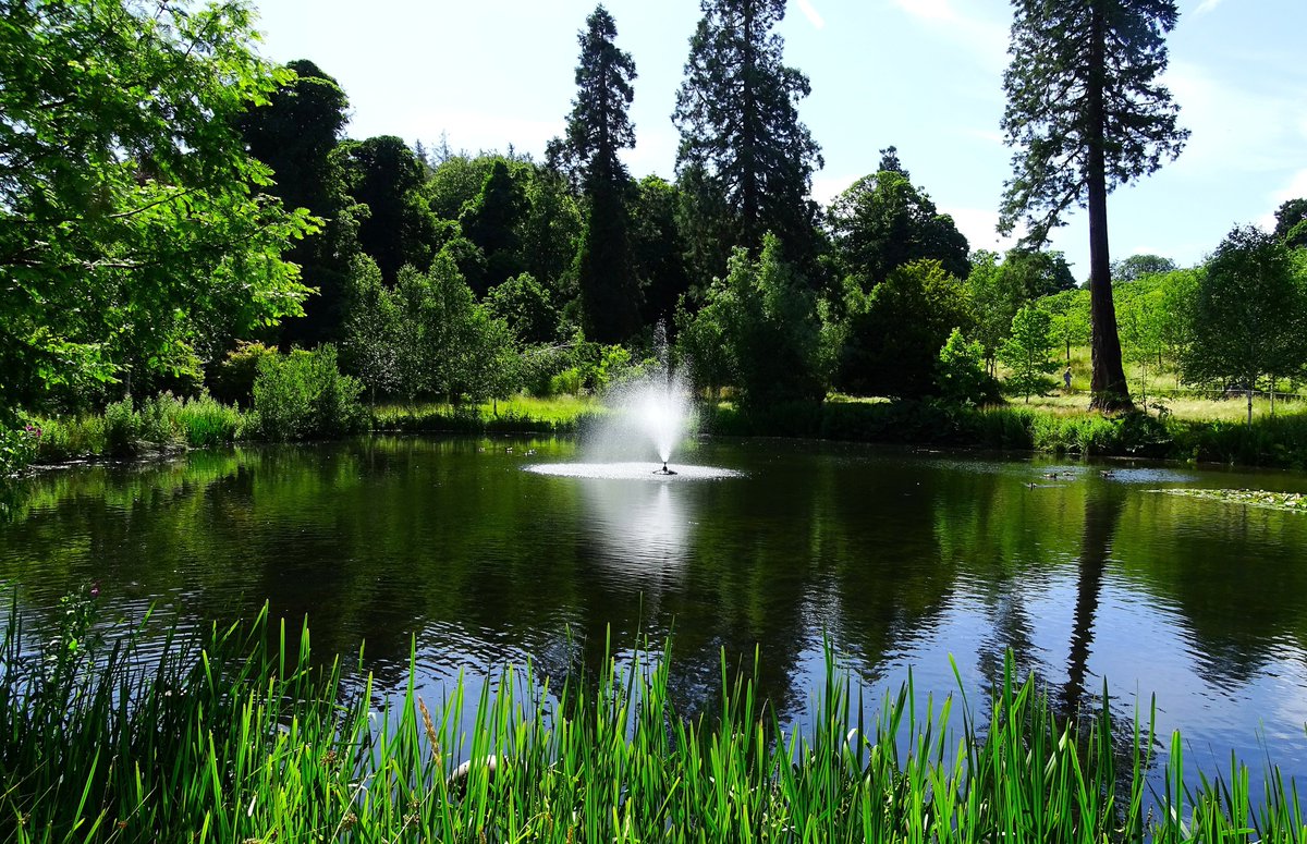 jac61941964's tweet image. Alnwick, Northumberland.
#Alnwick
#Northumberland