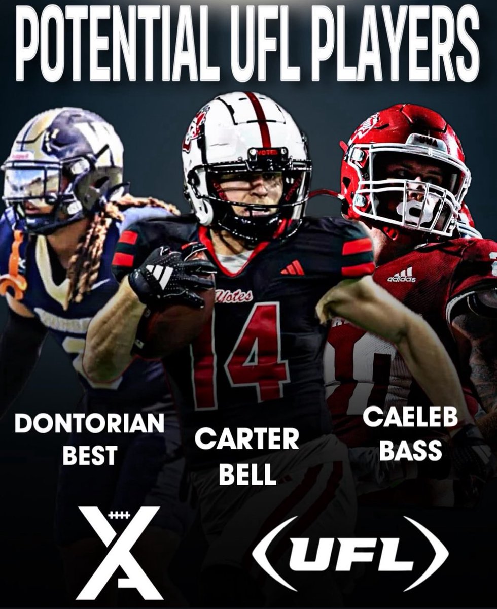 Dontorian Best 6️⃣ tweet media