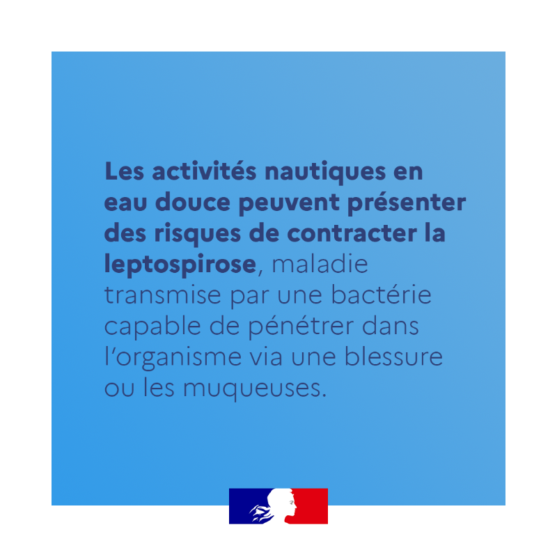 Sante_Gouv's tweet photo. #ÉtéSansSouci ☀ | Cet été, pratiquez des activités nautiques en eau douce en toute sécurité !

Pour que canoë, canyoning, pêche ou baignade restent un plaisir, adoptez quelques gestes de précaution contre les bactéries présentes dans l’eau douce ⤵

📲 : https://t.co/5nZmLAmCKS