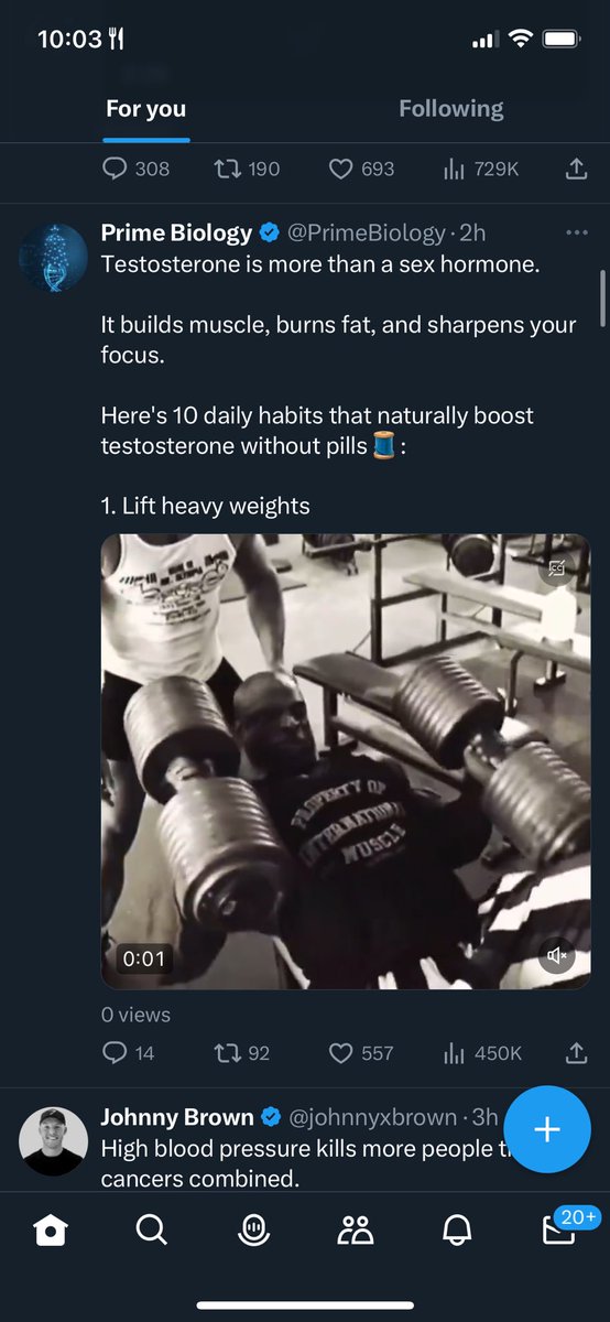 Shawn Presser tweet media