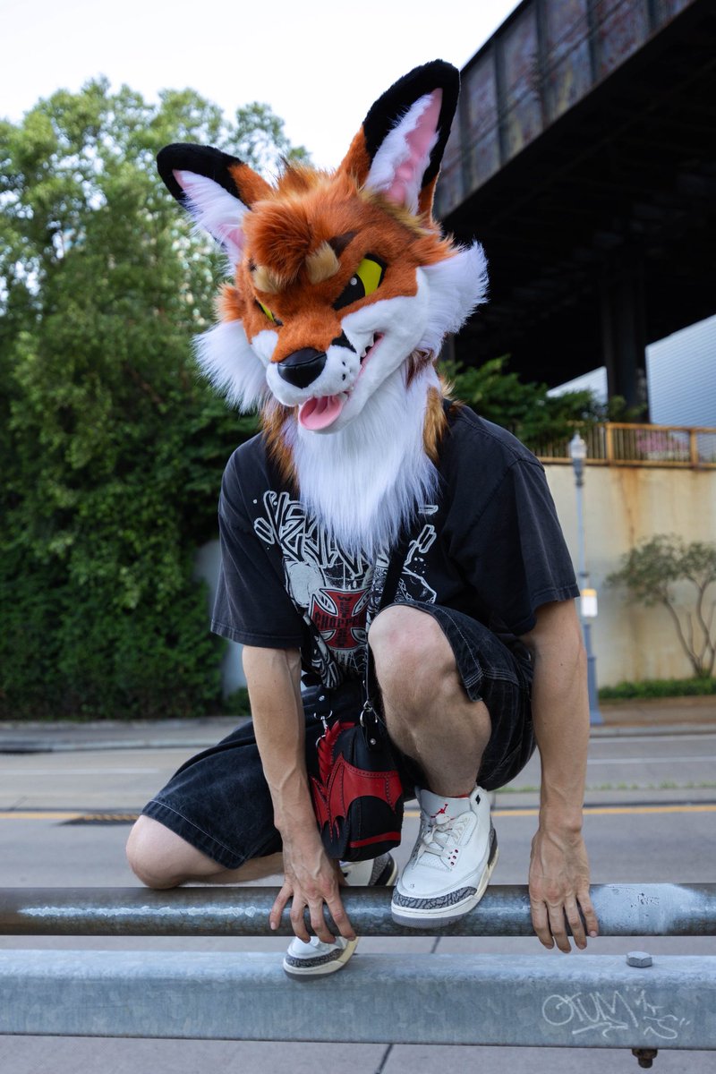 Street Fox