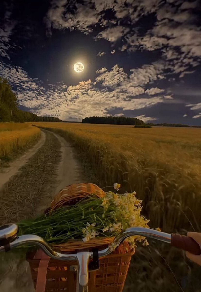 MOON LOVER (@m1onlover) on Twitter photo 