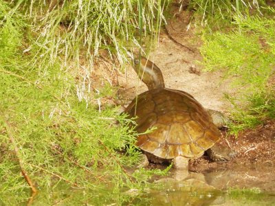 Inventario visual de junio:
educa2.madrid.org/.../blogs/inve…