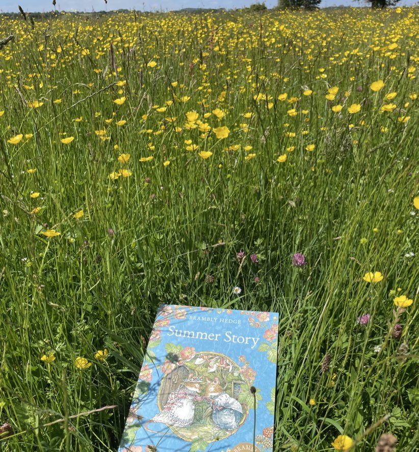 It’s Summer Story time.