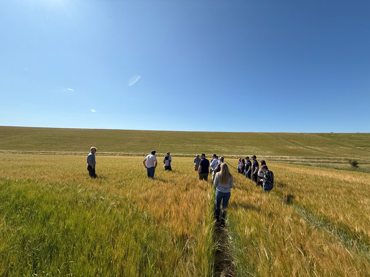 ADMAgriculture's tweet photo. 🌾Fantastic few days hosting a #CropTour in #Salisbury with @Syngenta & #ADM #Germany. Great to welcome guests from the #malting, #brewing & #distilling industries and showcase top-quality #springbarley from our trusted farms. Thanks to all who joined — here’s to a great season! https://t.co/InzZGZVrTd