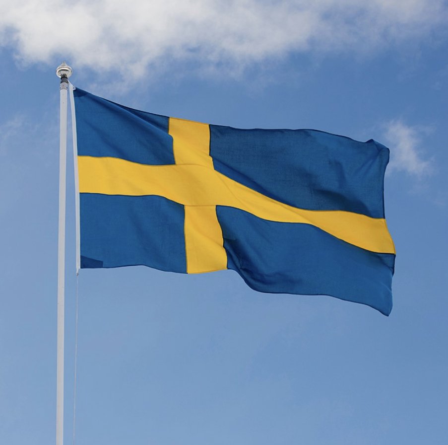 Jag har alltid varit stolt svensk.

Tyvärr är jag inte det längre. Man blir ledsen hur Sverige har förfallit.

Vart har vår kultur och sedvänjor tagit vägen?

Sverige är inte svenskt längre - och jag hatar det.