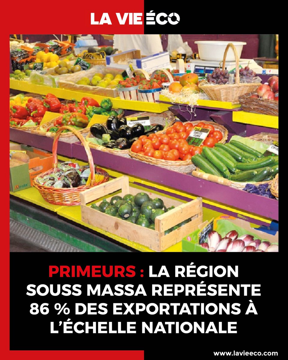 La région représente plus de 65 % des exportations d’agrumes et 86 % des exportations de primeurs à l’échelle nationale au cours de la campagne agricole 2024-2025.

🔗lavieeco.com/au-royaume/pri…
