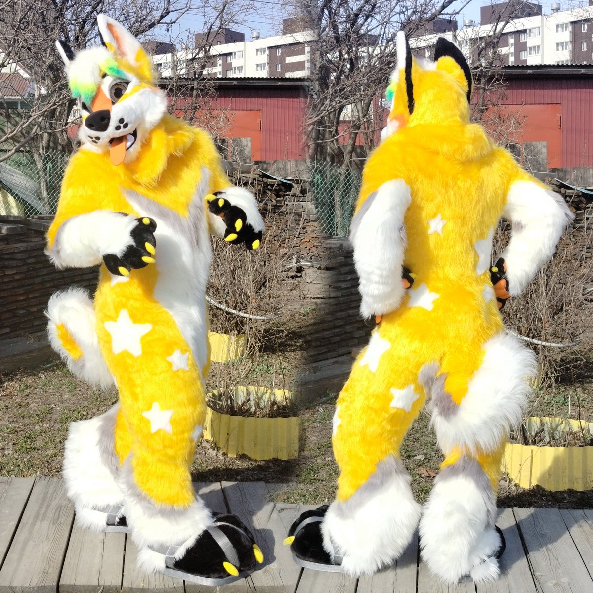 It was a good costume of lightweight fur, it felt like normal clothes. The fursuit was lost in space and time the vastness of German post customs and lost friends.
#furry #furries #fursuiting #fursuit #furryfriends #cosplay #furryfandom #furrycommunity