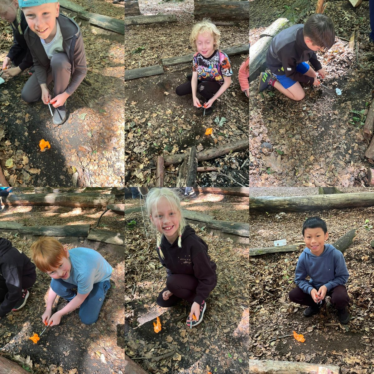 Joshua Seigal Class tweet media