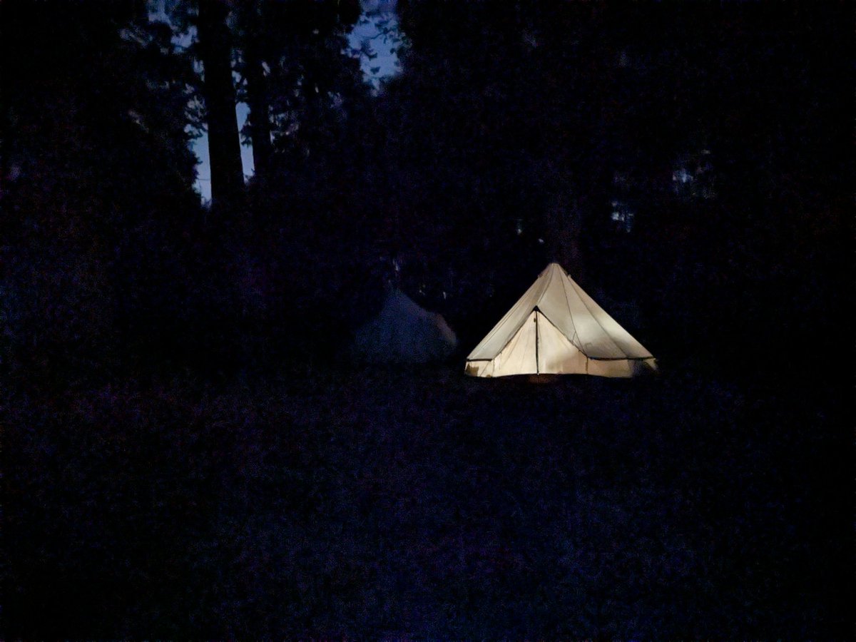 Our evening walk. We were lucky enough to spot bats and also deer.