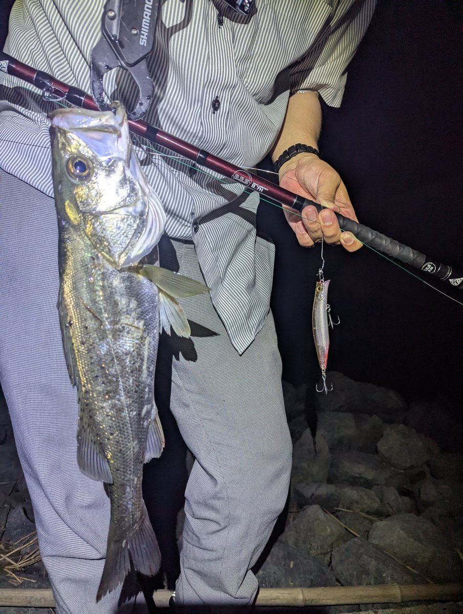 チャレンジメダル⑱ 税関 アンカレッジ港 激レア ミニカー 1/18 ダッジ チャレンジャー GT-SPIRIT