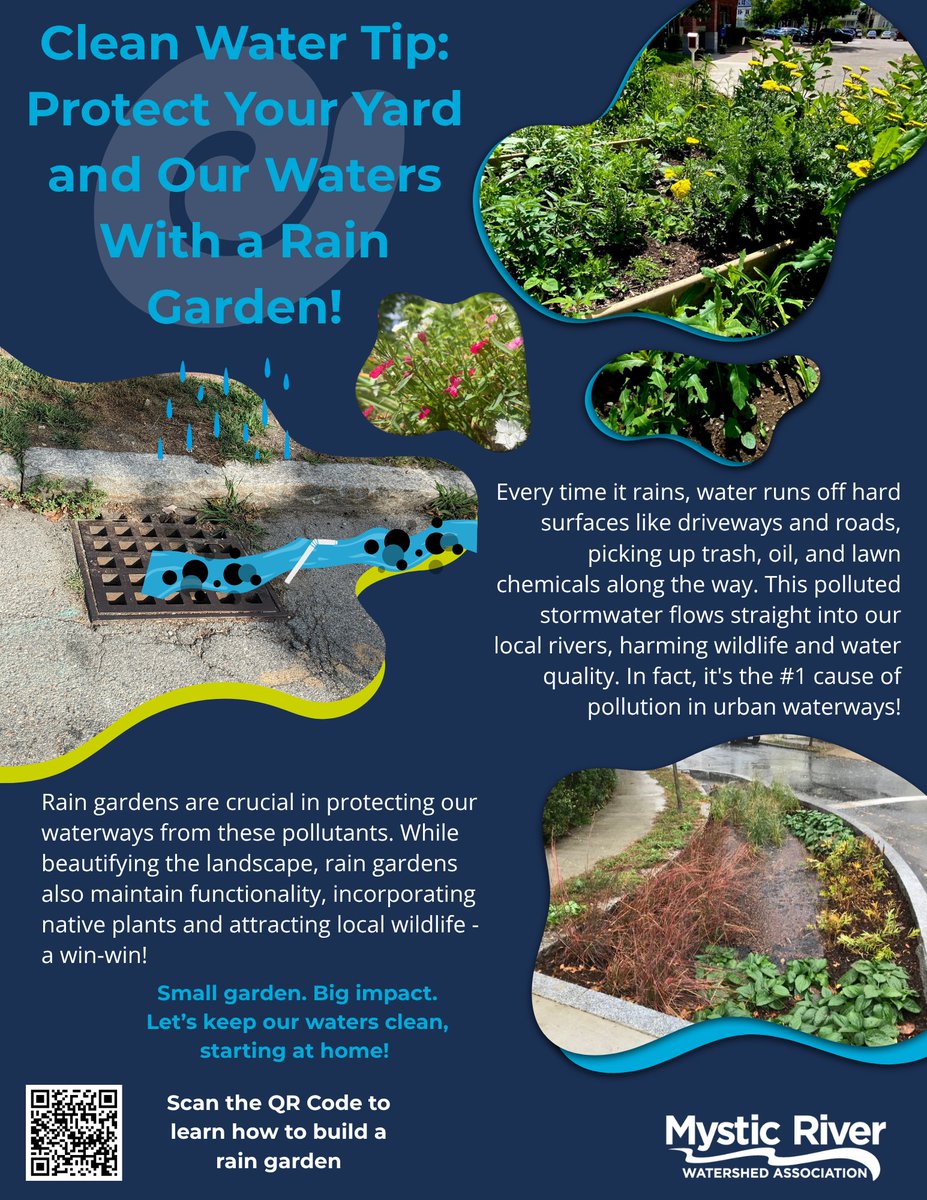 Protect Your Yard and Our Waters With a Rain Garden! 

Rain gardens have multiple benefits including:

- Filtering pollutants from stormwater

- Beautifying the landscape

- Providing habitat for local wildlife

For more #CleanWaterTips, visit mysticriver.org/stormwater