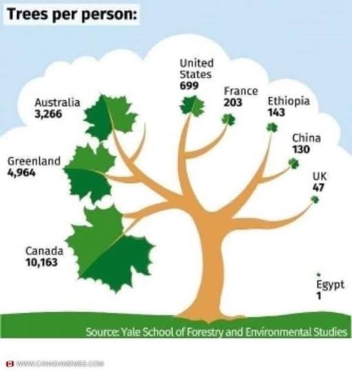 JohnLeePettim13's tweet image. It takes 98 trees to remove 1 ton of carbon dioxide yearly. The average Canadian produced 16.5 tons of CO2 in 2023. Canada has enough trees to remove 104 tons per person annually, yet we pay a carbon tax? The carbon tax is theft.