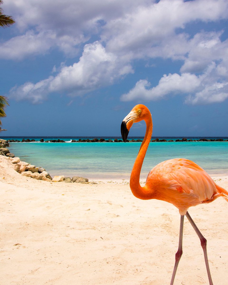 TurismoCity tweet media