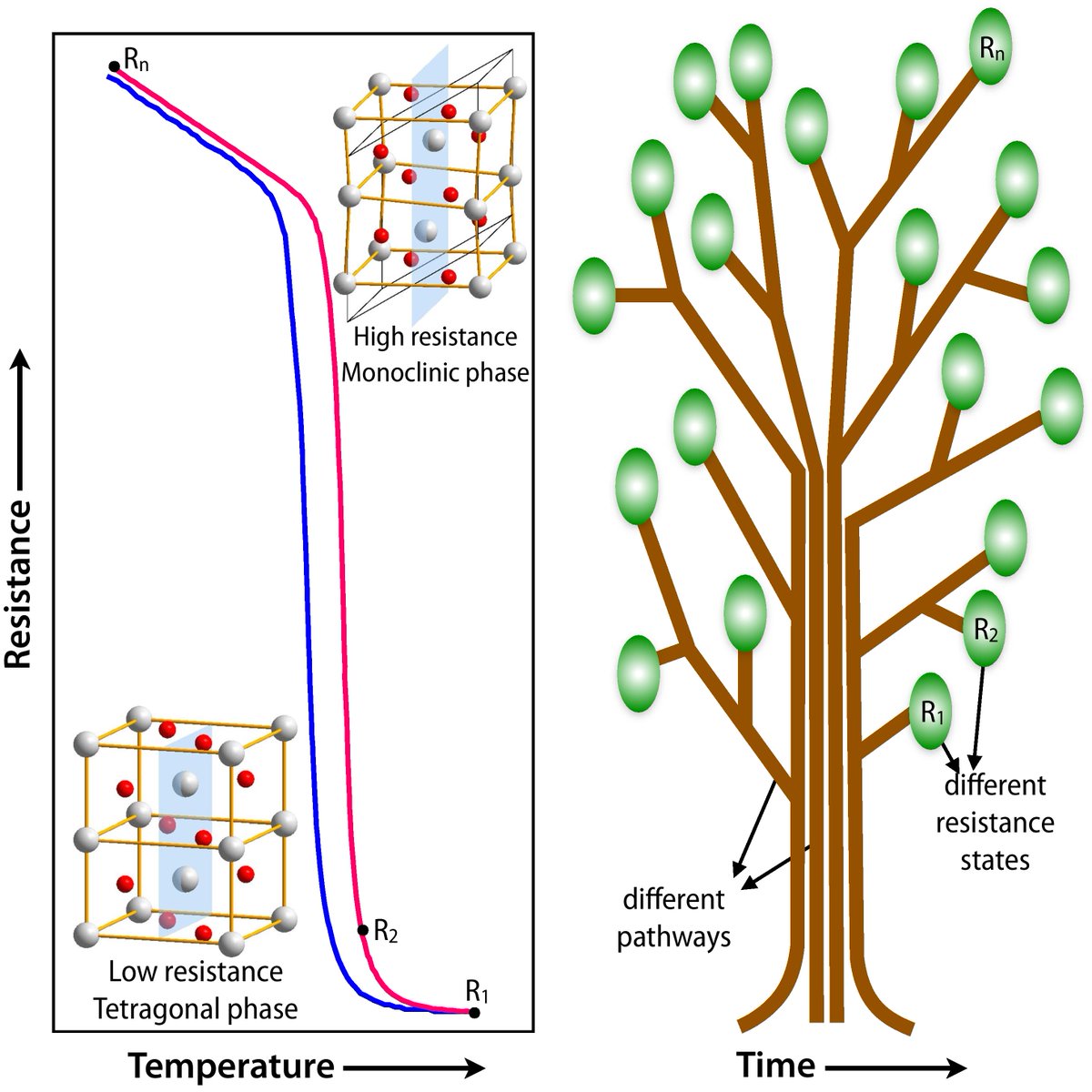 Collection on Physics-Inspired Computing: Decision-tree structures utilizing a phase-transition material
Yifan Yuan, Zhile Li, Chuanneng Sun, Ranjan Kumar Patel, Hua Zhou, Haoming Yu, Aaron D. Milstein, Dario Pompili, and Shriram Ramanathan
go.aps.org/3GpJgjR