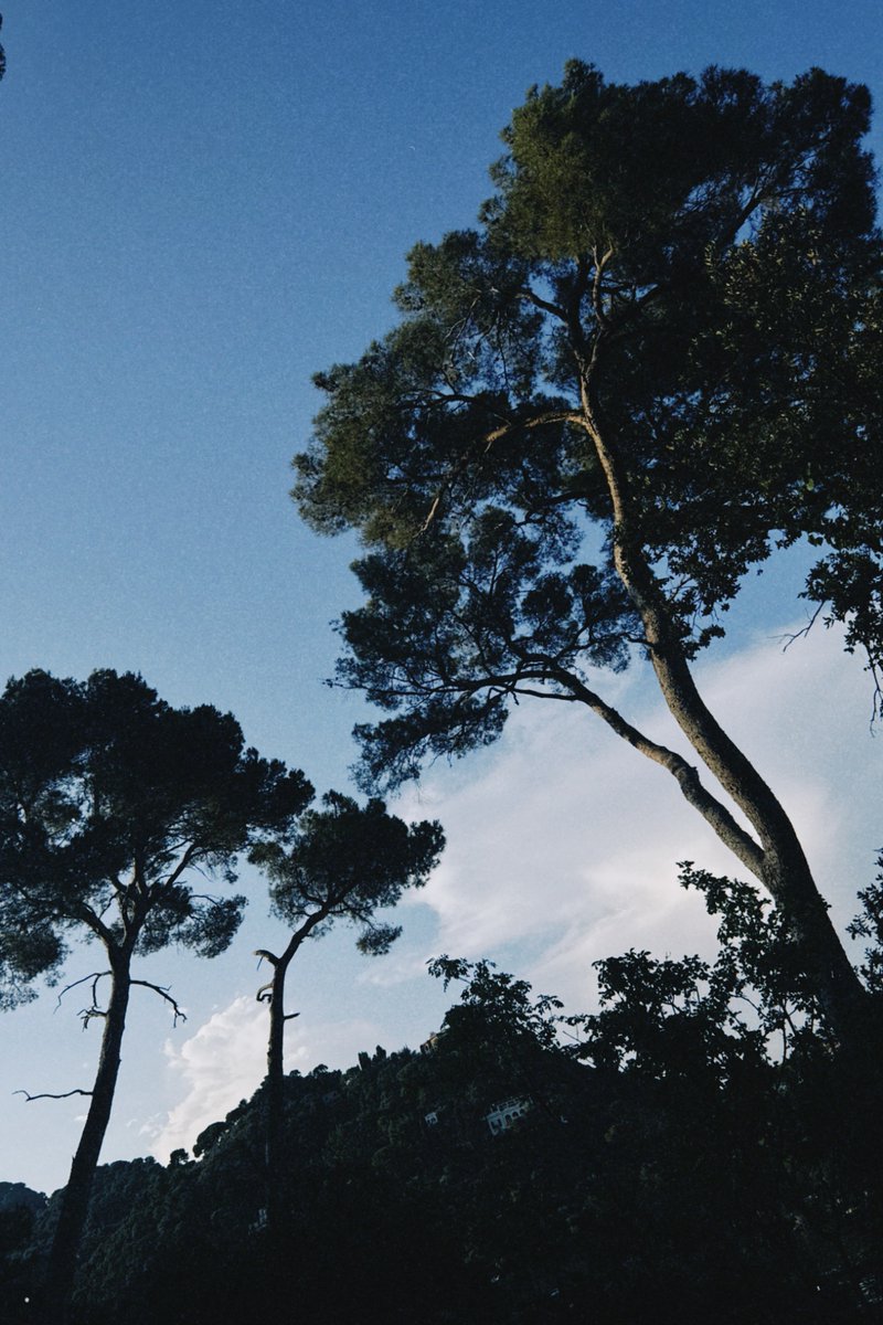 alexkibb_'s tweet image. iPhone shots from Italy