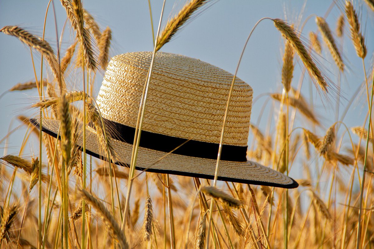 SCPOR_SK's tweet image. Beat the heat with an easy read! Check out the June edition of the SCPOR report! scpor.ca/news-1/2025/7/…