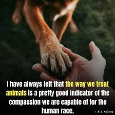 💚👏