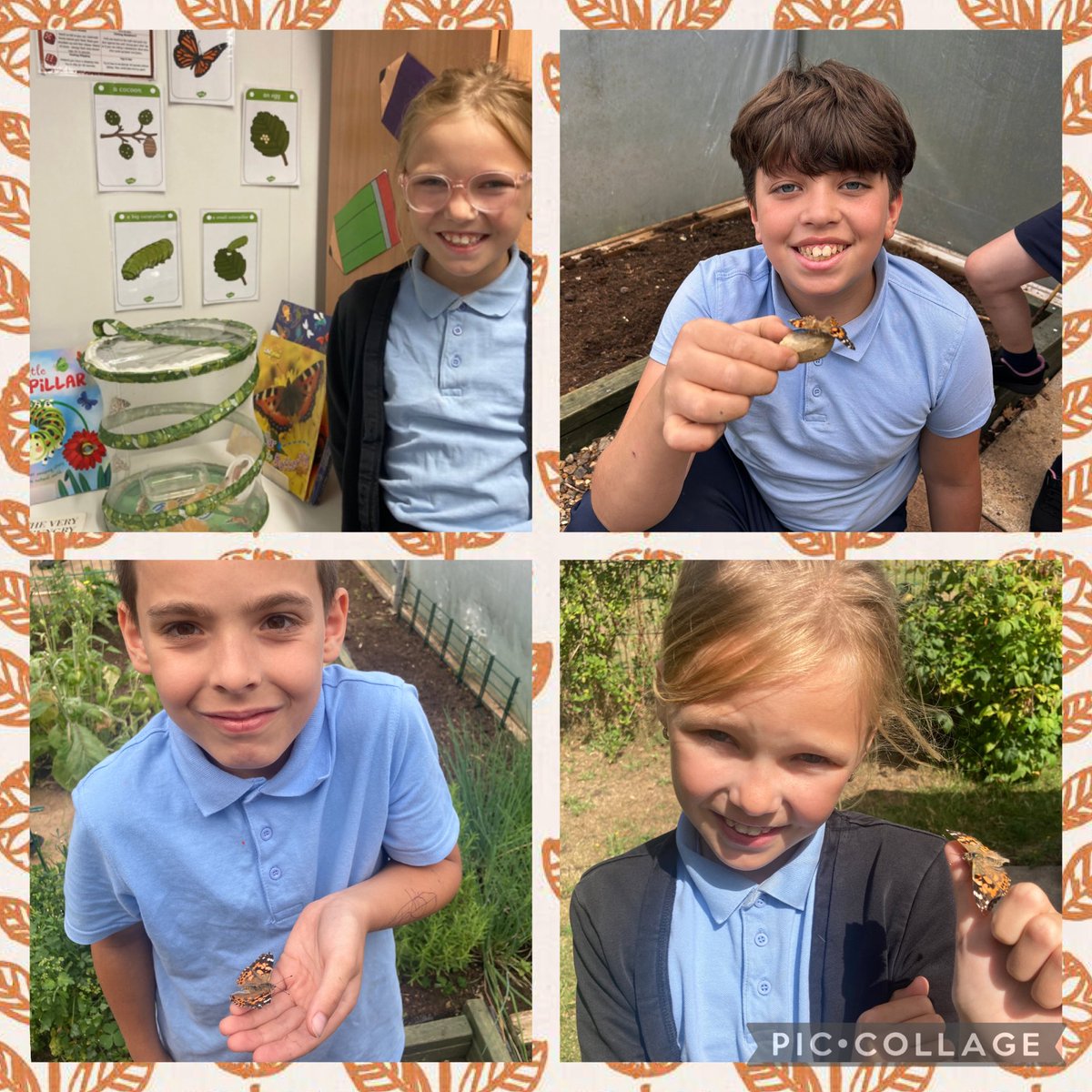 The Rowans Primary (@rowansprimary) on Twitter photo We loved releasing our beautiful Painted Lady Butterflies, into the school garden! <a href="/TheRowansAP/">The Rowans AP Academy</a> #nature #Science #lifecycles #ButterflyGarden ๐ฆโค๏ธ We loved releasing our beautiful Painted Lady Butterflies, into the school garden! <a href="/TheRowansAP/">The Rowans AP Academy</a> #nature #Science #lifecycles #ButterflyGarden ๐ฆโค๏ธ