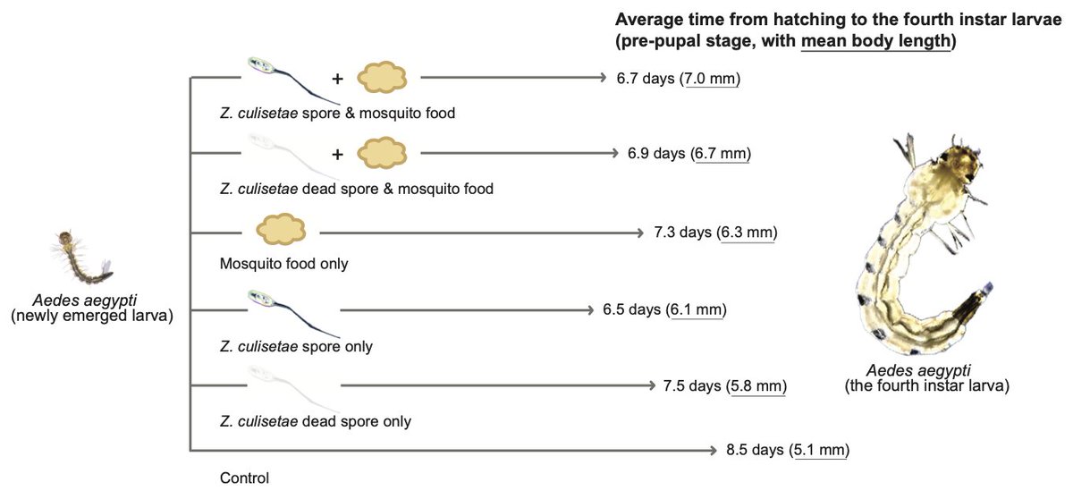 Yan Wang tweet media