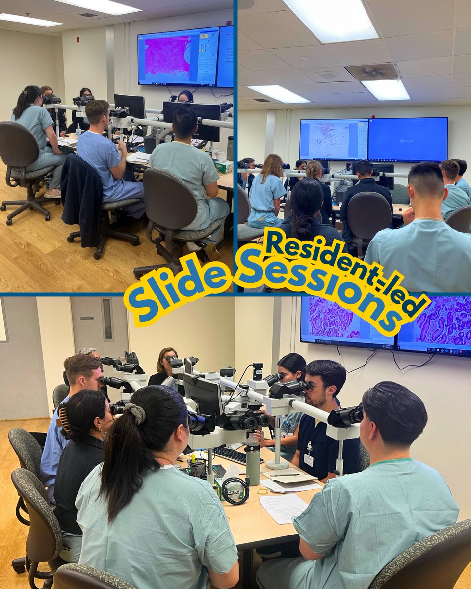 UCLA_Pathology's tweet photo. 👋✨ Welcome to the UCLA Pathology Family!

Resident Orientation 2025 was packed with learning, connection, and fun! Highlights included our hands-on grossing workshop, resident-led scope sessions, and immersive onboarding experiences to kickstart the year. Our PGY1s and Post Junior Fellows are already settling in with their new ergonomic desks and fully equipped workspaces!

We also made time for fun—like a trip to the farmers’ market and a classic happy hour! We’re so excited to have our newest trainees join the team!

#pathology #path2path #PathTwitter #PathX #Orientation2025 #ResidencyLife #MedEd #WelcomeNewResidents #PathMatch