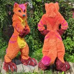 Photo by furr.club (@spacealienfox)