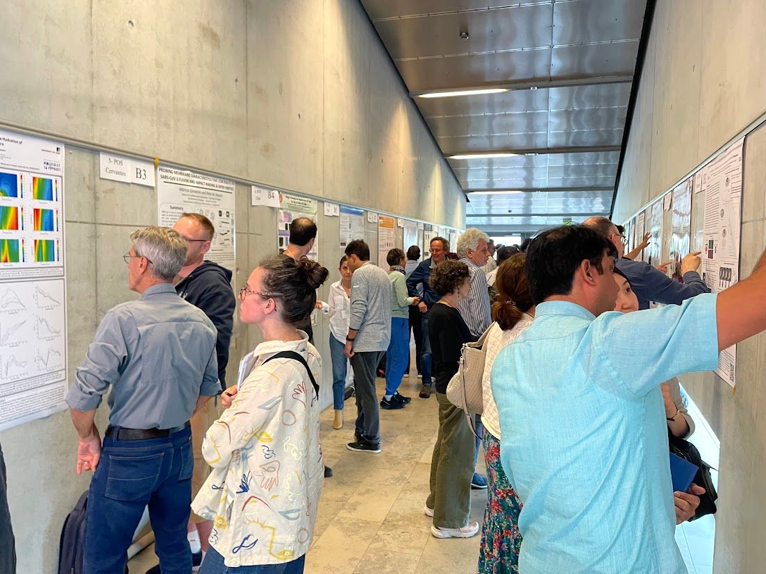 BiophysicalSoc's tweet image. We're in Copenhagen this week for Beyond Simple Models: The Consequences of Membrane Complexity in Living Systems. Here are some scenes from our poster sessions so far! @Co_Biologists