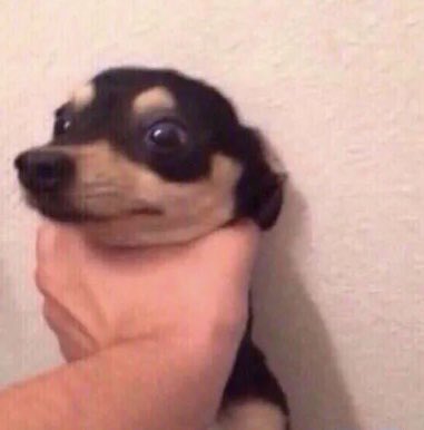 Me ven súper serio pero no se imaginan como me gusta que me dominen jajaja