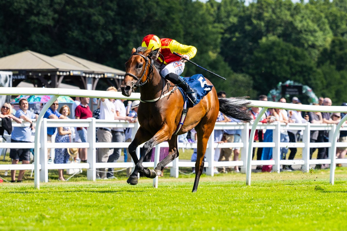 Lingfield Park (@lingfieldpark) on Twitter photo Race 4- Get Raceday Ready Nursery Handicap (Class 6)
🥇Brightling
Winning Jockey: <a href="/EDMUNDZZ98/">Lewis Edmunds </a>
Winning Trainer: <a href="/millmanracing/">Rod Millman Racing</a>
Winning Owner: Book 3 Partnership Race 4- Get Raceday Ready Nursery Handicap (Class 6)
🥇Brightling
Winning Jockey: <a href="/EDMUNDZZ98/">Lewis Edmunds </a>
Winning Trainer: <a href="/millmanracing/">Rod Millman Racing</a>
Winning Owner: Book 3 Partnership