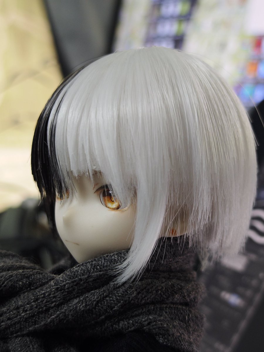 linglvz's tweet image. ブラックくんいる!