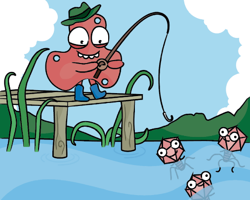 NatureRevMicro's tweet image. New online! A molecular decoy for phage defence nature.com/articles/s4157…