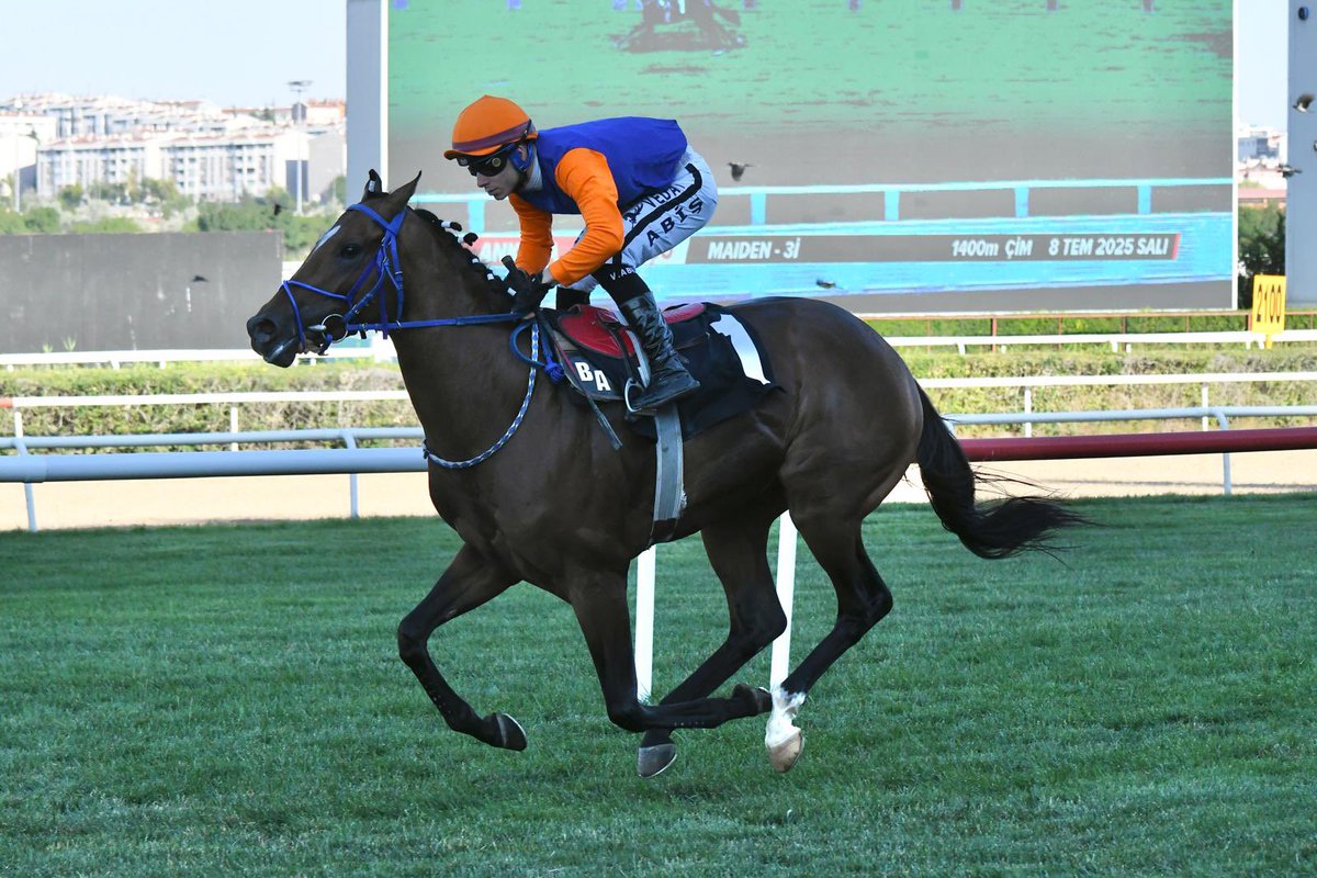 canahrasoglu's tweet photo. Ağa Halil  ile ankara’da güzel birincilik.🐎 https://t.co/D760X1GTZu