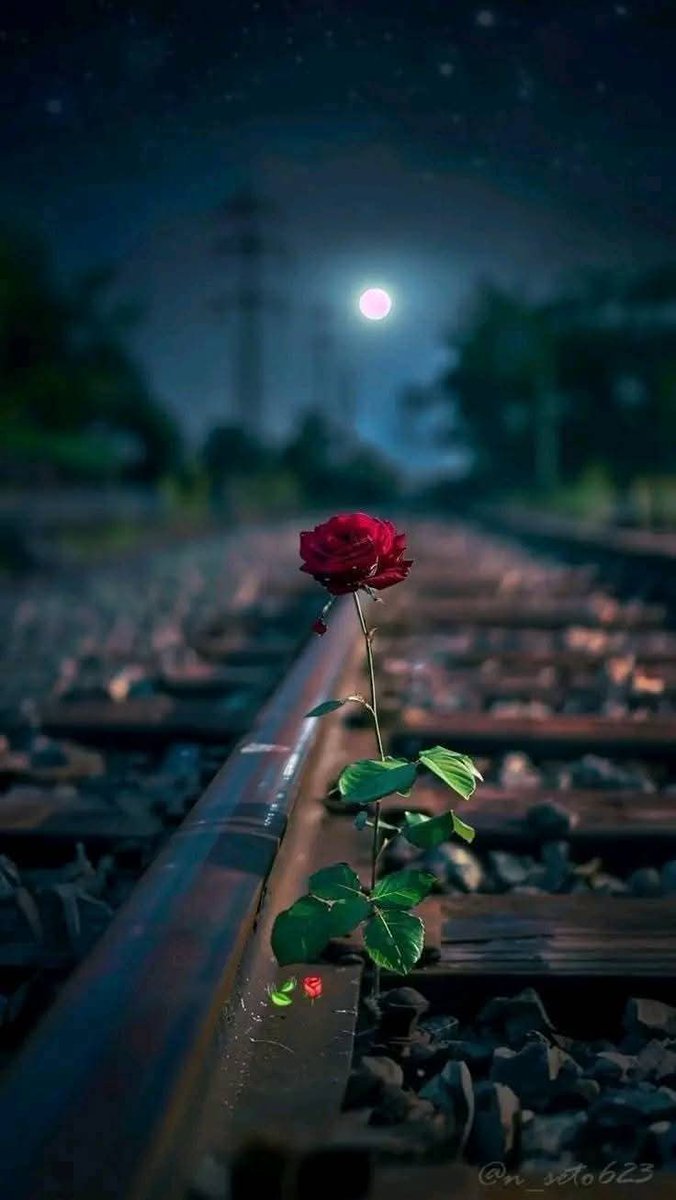 منتظر  آج  بھی  ہے ، دل ترے آنے کا مگر.. 
تیرے آنے سے خسارے تو نہیں جائیں گے..!!