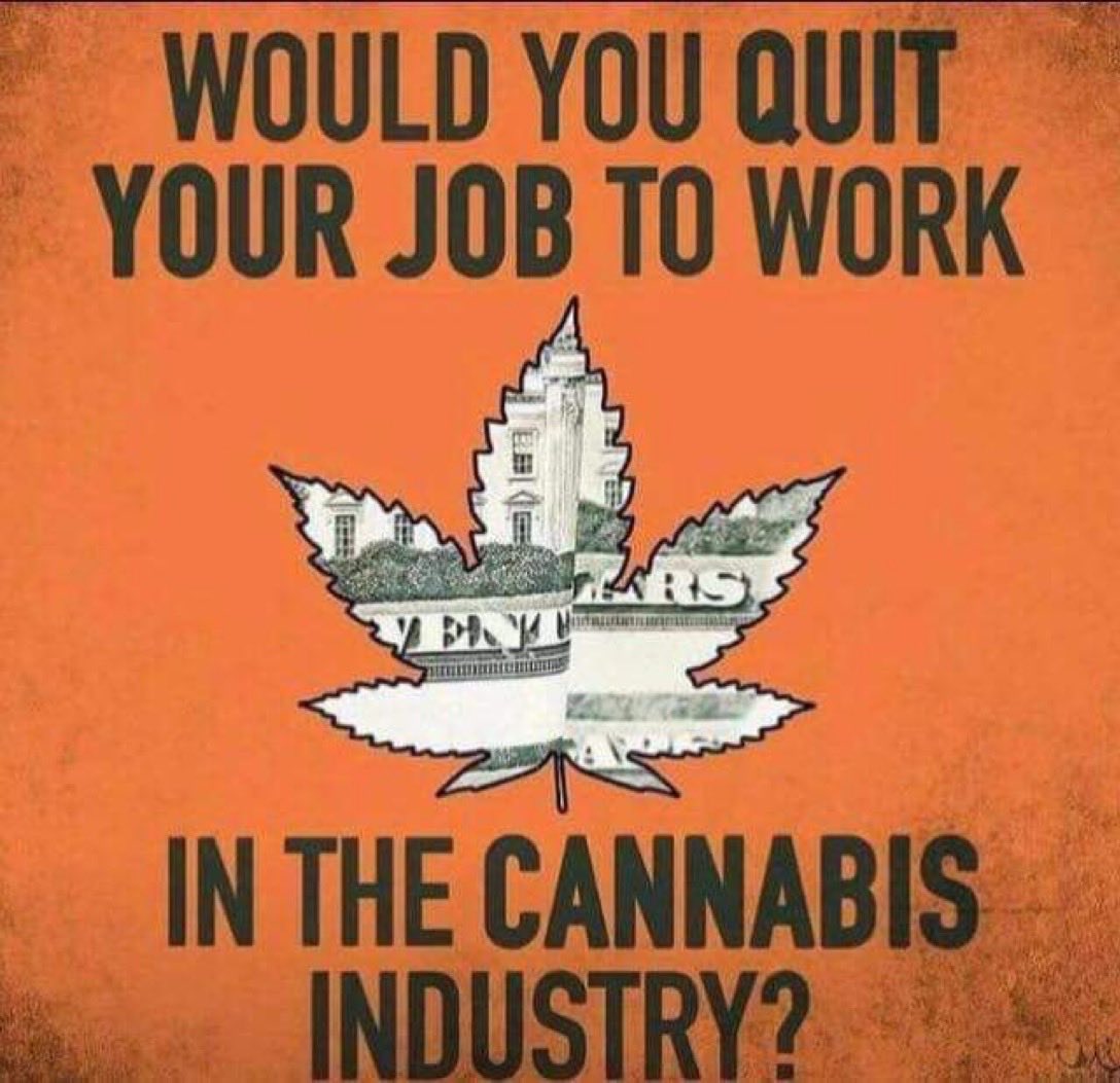 Stoner Barbie tweet media