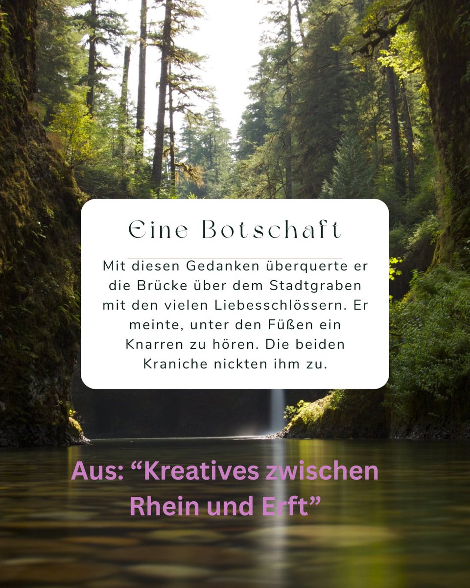 Ina Broich tweet media