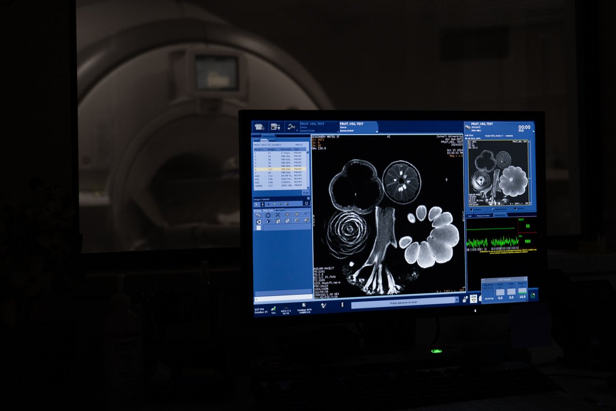 CornellCHE's tweet image. Future scientists in the making! We recently welcomed a local Girl Scout troop to our MRI facility in Cornell Human Ecology for an exciting, hands-on exploration of medical imaging.