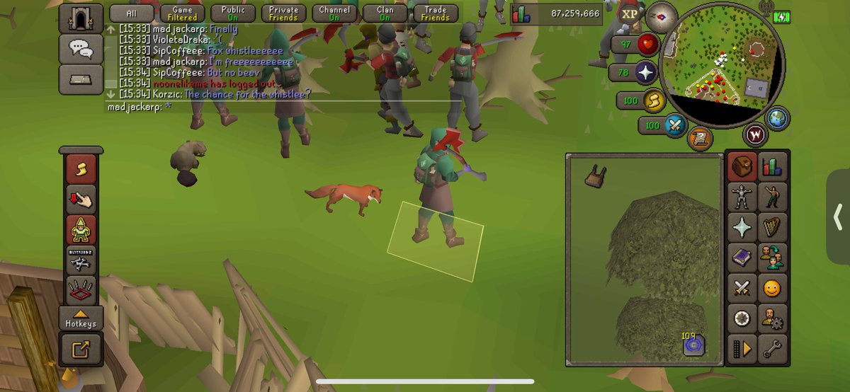 I have been set free from forestry forever, time for redwoods