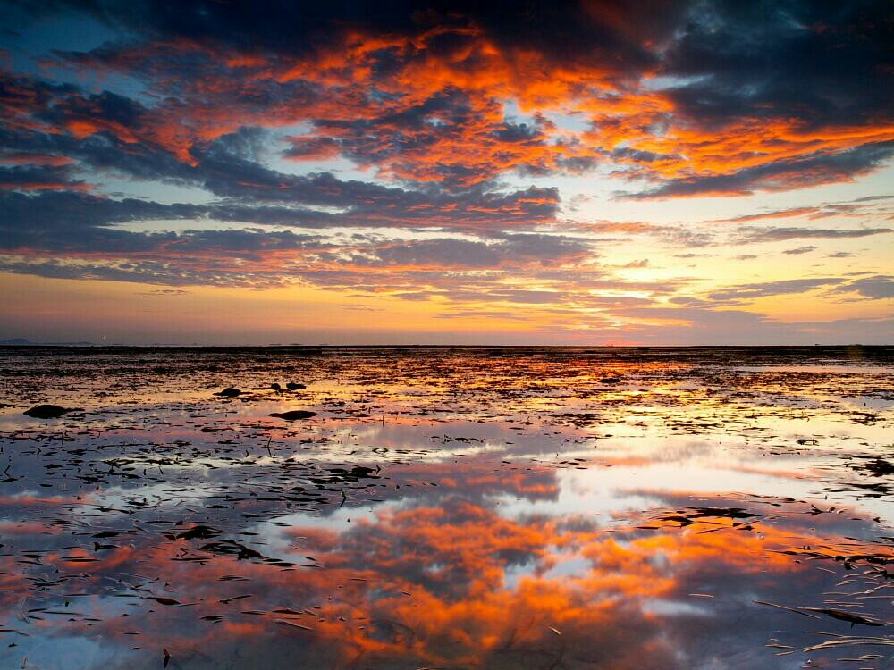 اللهم إني أستغفرك لكل ذنب يكون سبب في قطع الرجاء،،ورد الدعاء،،
 وتوارد البلاء، ،
وترادف الهموم،
وتضاعف الغموم يارب اجعل المَحبة فِي نفوسِنا والابتسامه فِي وجوهِنا والسعَادة فِي بيوتنا واجعَل ذكرك لا يفارقنا يارب اللهم اغفر لي ذنبي كله 
 دقه وجله
وأوله وآخره
 وعلانيته وسره