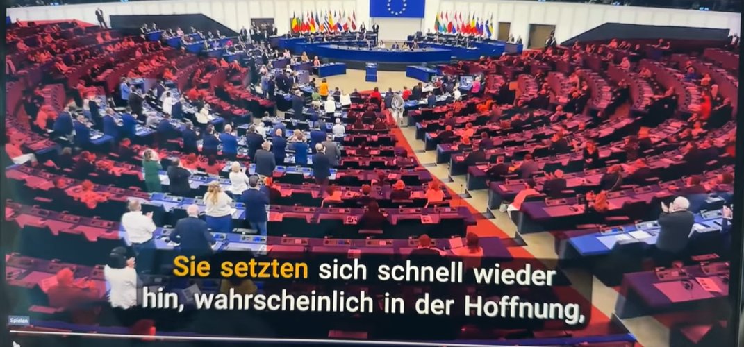 Es gibt sie immer noch : die Von der Leyen Lakaien... aber es werden immer weniger.
