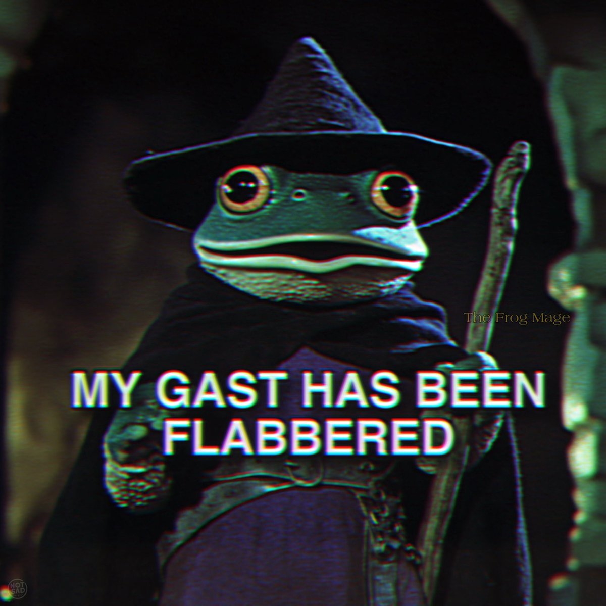 The Frog Mage (@the_frog_mage) on Twitter photo 