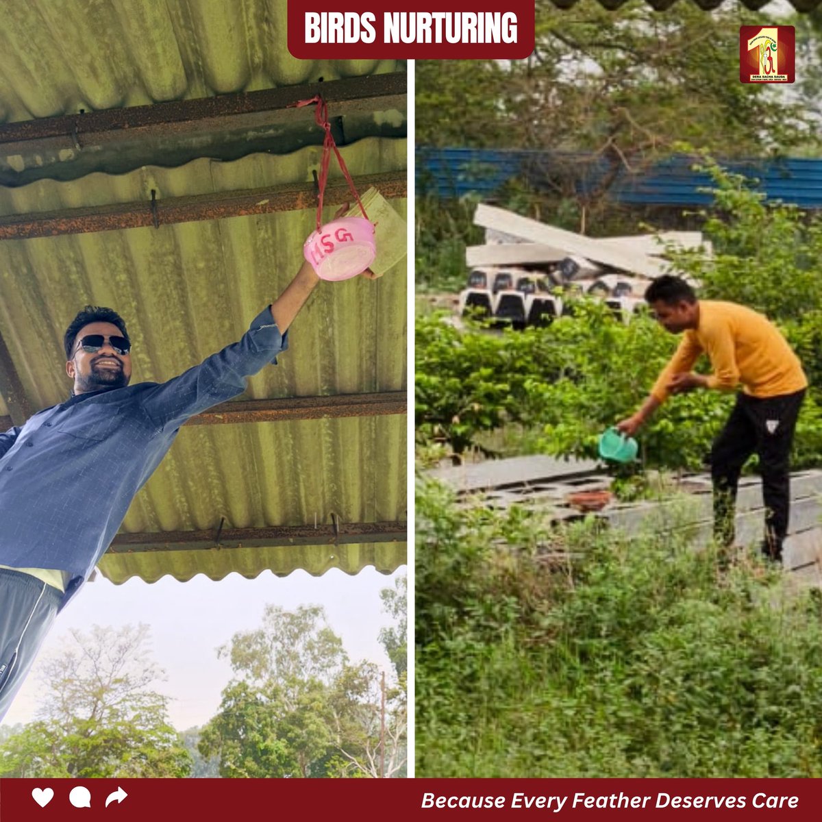 With hearts full of compassion, the volunteers of Meerut stepped forward to care for the voiceless birds struggling in the harsh summer heat—offering them water, grains, and a lifeline of hope. 

#BirdNurturing #DeraSachaSauda #SummerCare #SaintDrMSG #WaterForBirds #AnimalWelfare