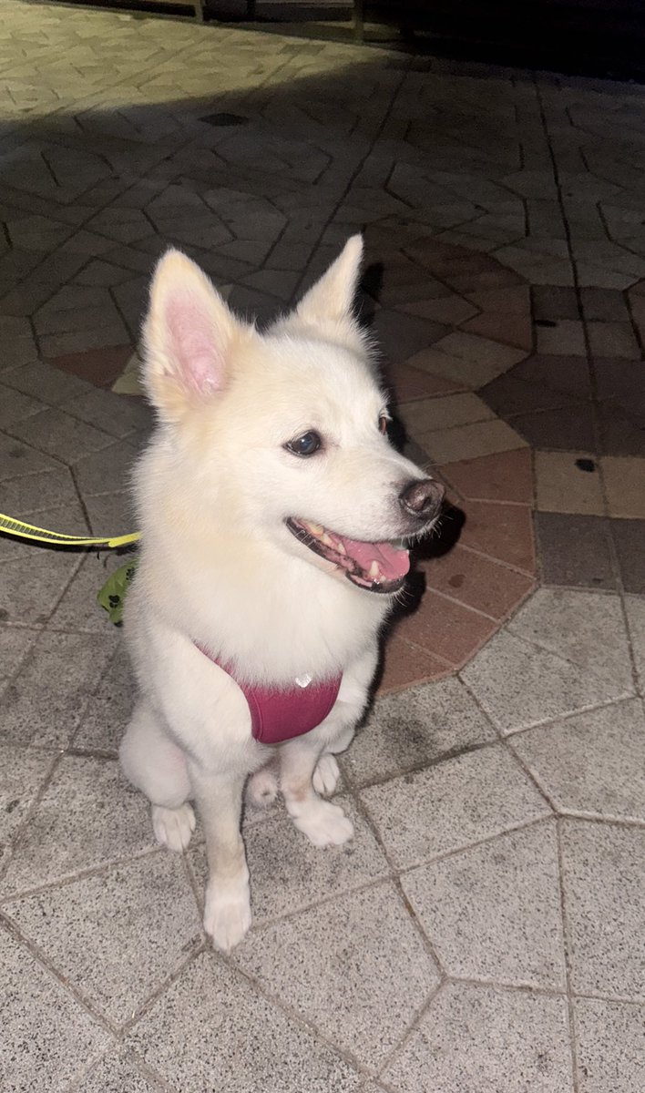 쉽지않은 날씨다..