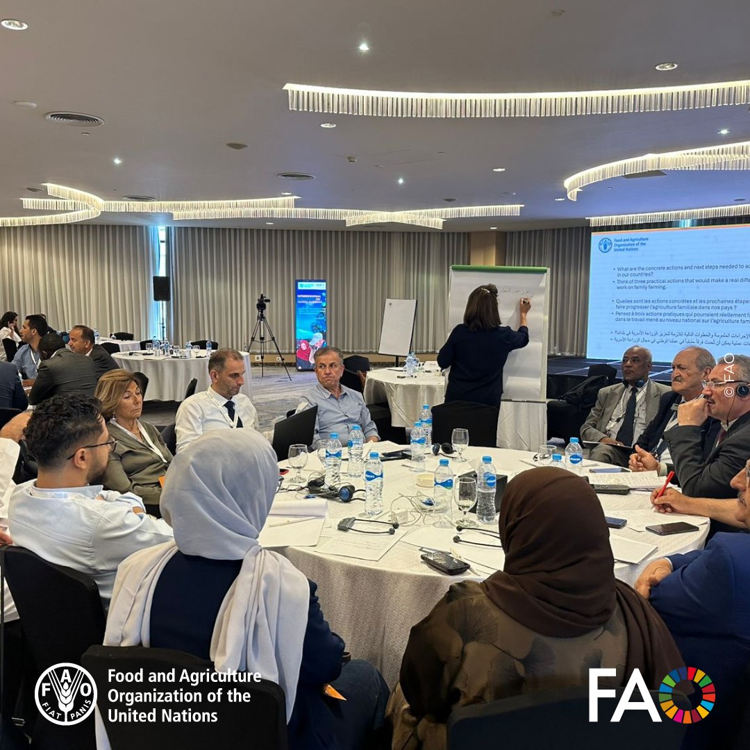 FAOinNENA_EN's tweet photo. 📍Day 2 | Towards the Global Forum: Regional Priorities & Innovations
Participants from #NENA engaged in dynamic group discussions, proposing bold, forward-thinking solutions to advance #FamilyFarming across 4 thematic tracks. 🌱🌍 #UNDFF https://t.co/m0dDsXmSuo