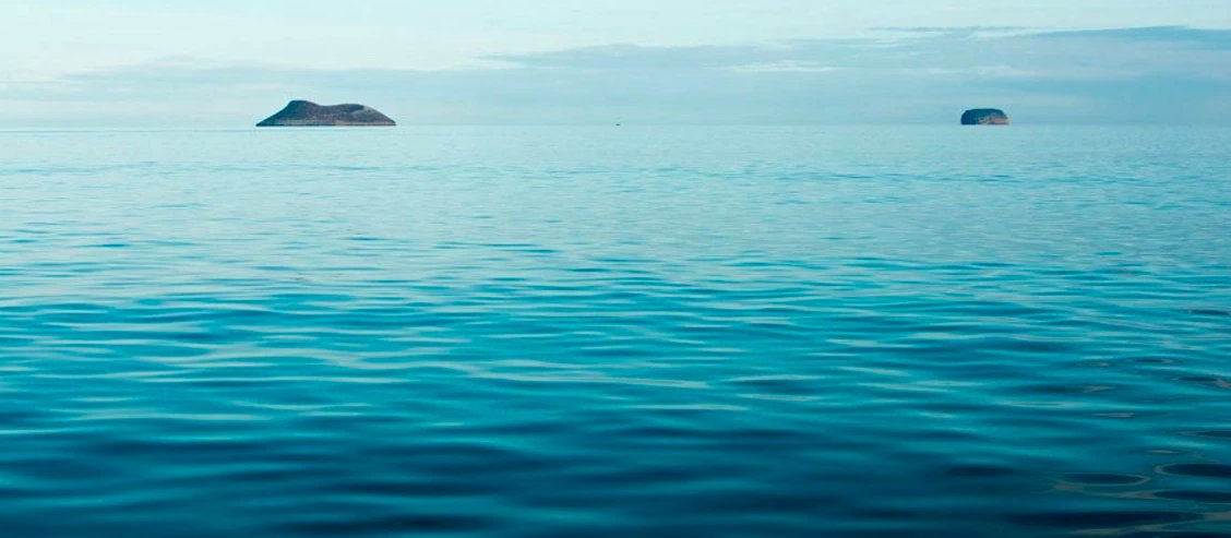 BorisWeber's tweet image. #Ecuador y #Perú están apostando por una #EconomíaAzul para proteger el océano y generar desarrollo sostenible.
🔹 +30 % de su población vive en zonas costeras
🔹 Impulsan pesca, acuicultura y ordenamiento marino
Conoce cómo construyen un futuro azul:
blogs.worldbank.org/es/latinameric…