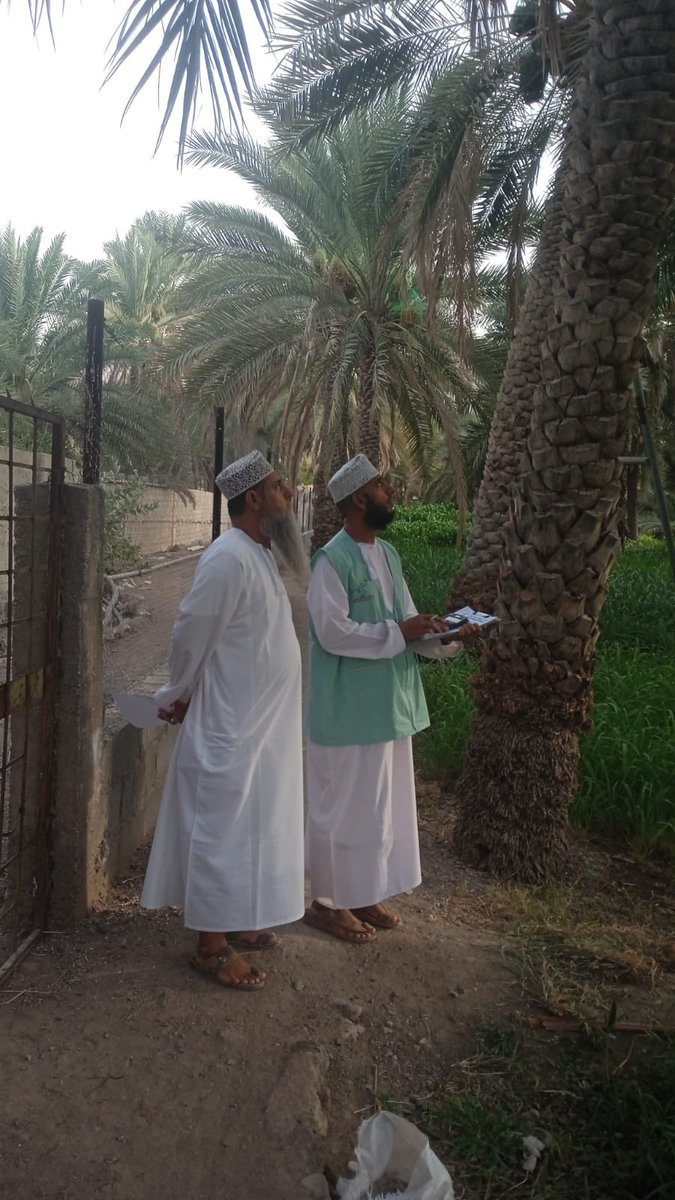 تواصل لجنة الزكاة بولاية ينقل خرص الثمار في الولاية حيث تم اليوم خرص 5 مزارع في 
الخابورة :((سلام والمنكس وأرض شعبة)) ، الجغنة ، والعلو .
نسأل الله تعالى لهم البركة في الثمار والزرع والرزق.
واللجنة على أتم استعداد لخرص الثمار بالتواصل مع مندوبي القرى أو هاتف اللجنة ٩٨٢٥٠٠٧٧.