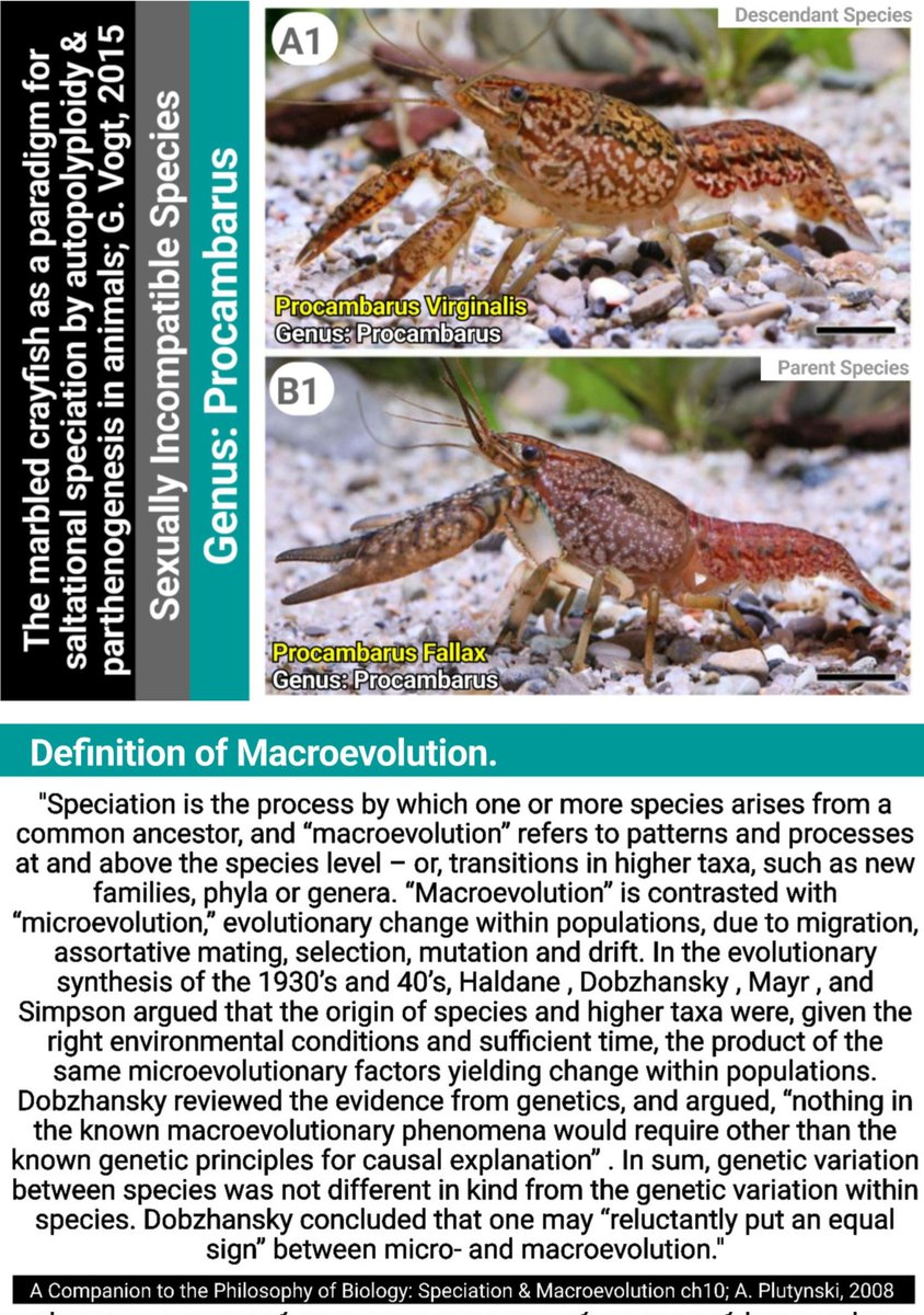 Call Me Emo tweet media